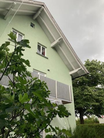 Jaeger Apartment